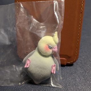 寝落ちインコ オカメインコシナモン