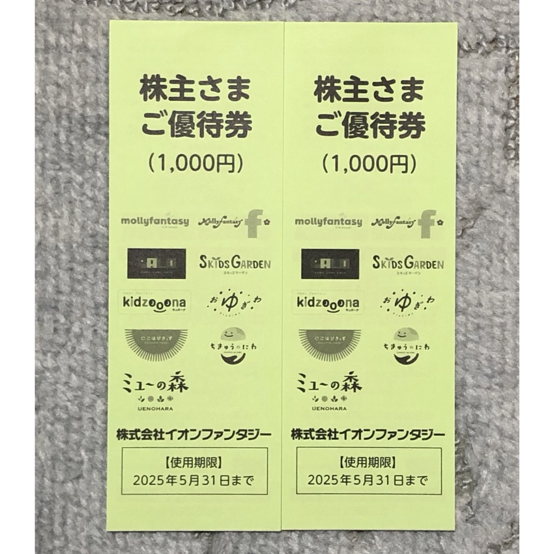 【でっち様専用】イオンファンタジー 株主さまご優待券100円20枚2,000円分 チケットの優待券/割引券(その他)の商品写真