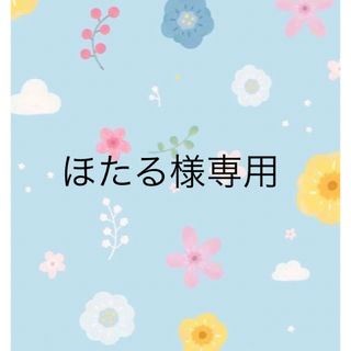 ほたる様専用(犬)