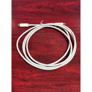 Apple Thunderbolt cable 2.0m MD861ZM/A(PC周辺機器)
