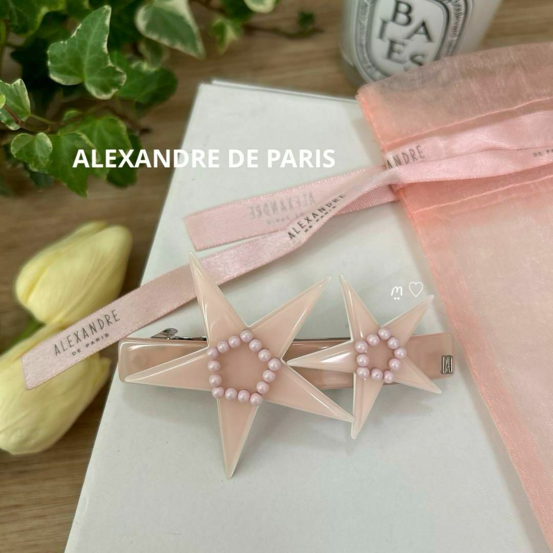 ALEXANDRE DE 薄かっ PARIS アレクサンドルドゥパリ ヘアクリップ ALEXANDRE DE 薄かっ PARIS アレクサンドルドゥパリ ヘアクリップ