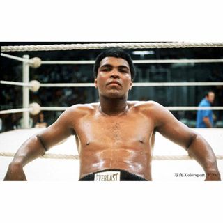ボクシング モハメド・アリ 57試合15枚DVD レア試合収録☆の通販 ボクシング モハメド・アリ 57試合15枚DVD レア試合収録☆の通販