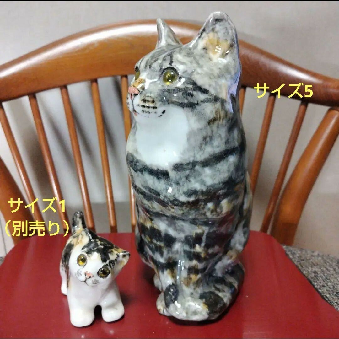 ウィンスタンレイキャット(ケンジントンキャット)サイズ5 ウィンスタンレイキャット(ケンジントンキャット)サイズ5