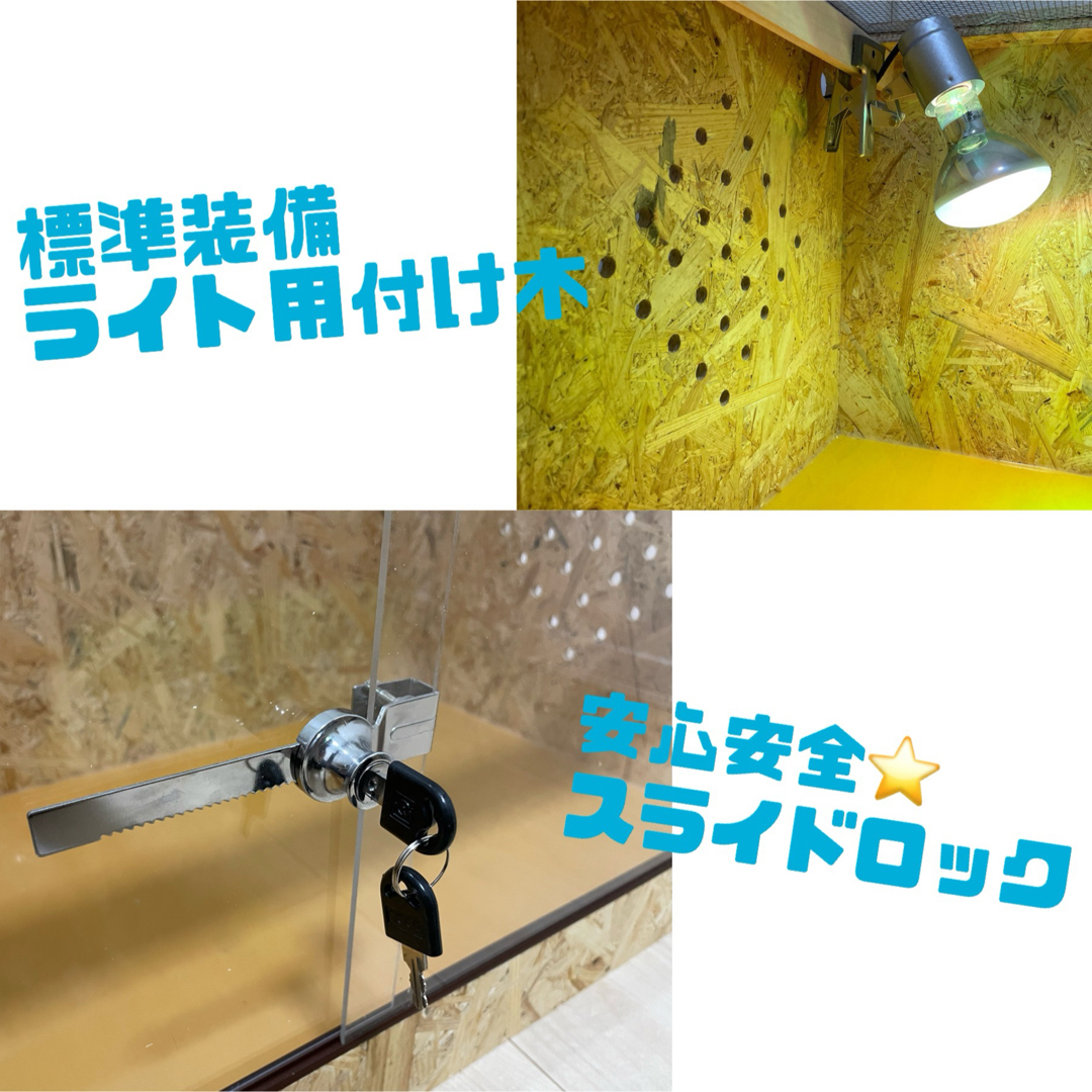 爬虫類ケージ 爬虫類木製ケージ 90ラック用サイズ 天井ノーマル仕様 爬虫類ケージ 爬虫類木製ケージ 90ラック用サイズ 天井ノーマル仕様