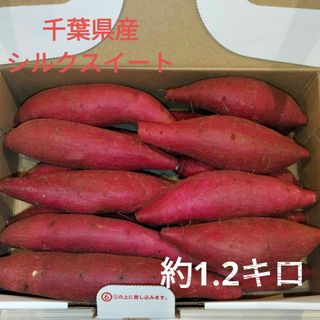 11 千葉県産　シルクスイート　さつまいも　サツマイモ　約1.2㎏(野菜)