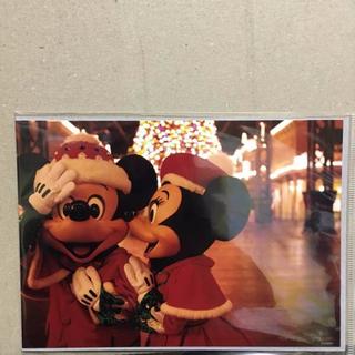ディズニー(Disney)のディズニー 公式 篠山紀信さん 写真(写真)