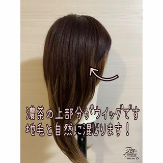 ❤ 高評価 人毛100% 艶髪 ストレート 簡単 部分ウイッグ　つむじ隠　茶 ❤(ショートストレート)