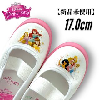 ディズニー(Disney)の【新品未使用】ディズニー プリンセス ラプンツェル 上履き 17.0cm(スクールシューズ/上履き)