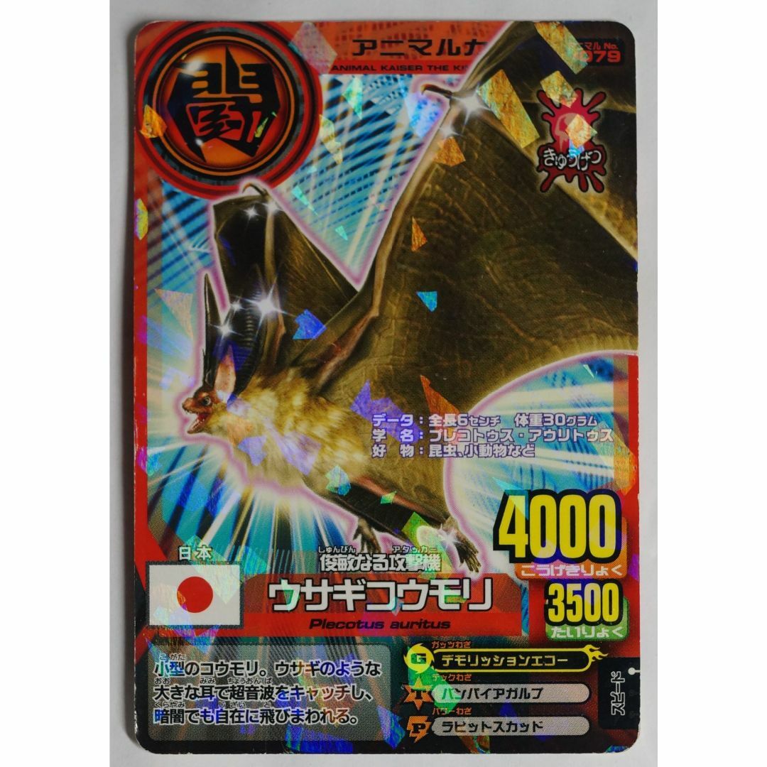 BANDAI - ウサギコウモリ A-079 アニマルカイザーアニマルカード BANDAI - ウサギコウモリ A-079 アニマルカイザーアニマルカード