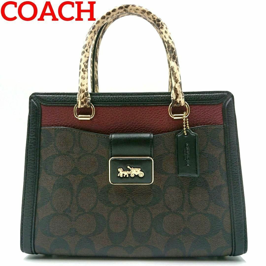 Coach ハンドバッグ パイソン柄 シグネチャー 自立 ロゴ金具 Y2K Coach ハンドバッグ パイソン柄 シグネチャー 自立 ロゴ金具 Y2K