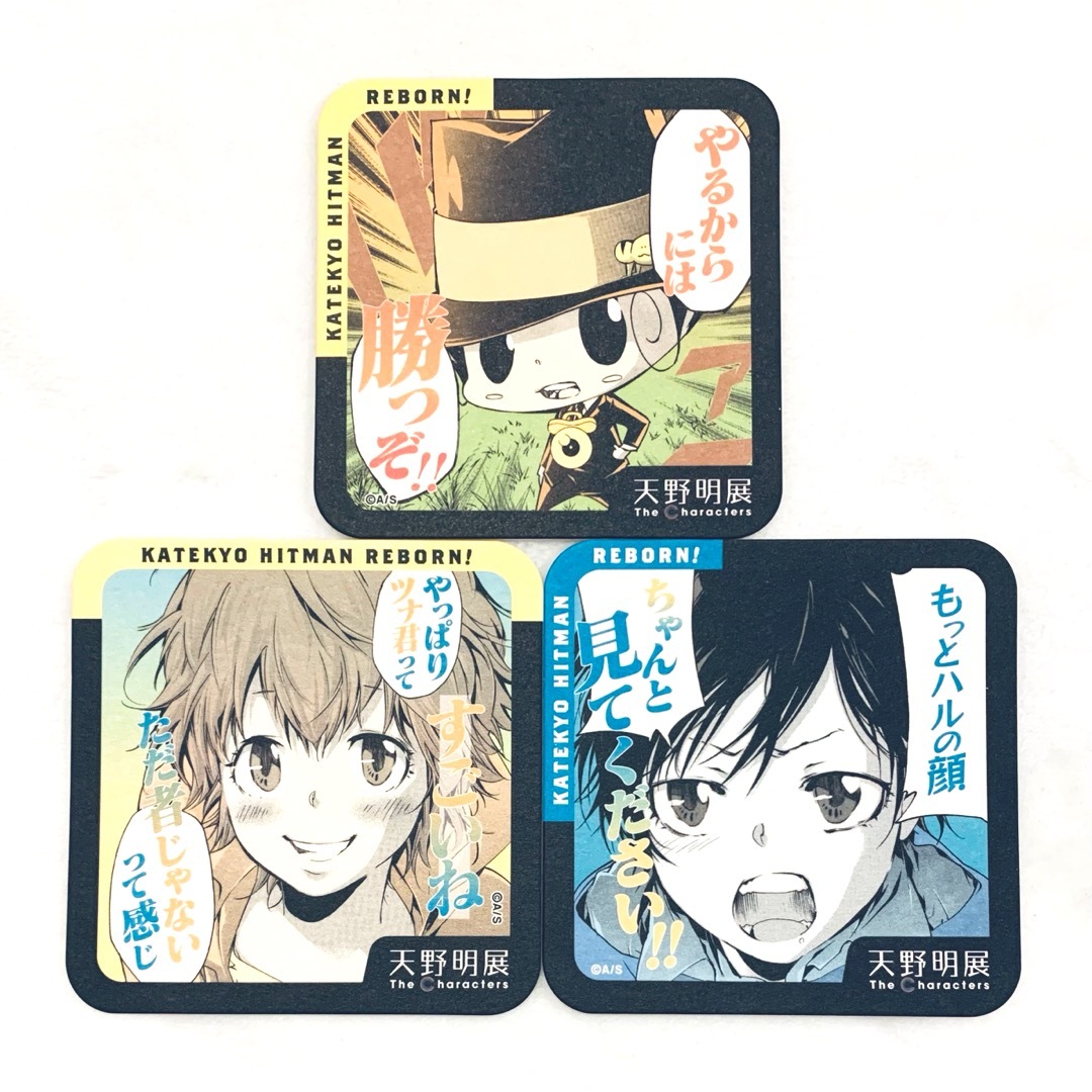 天野明展 アートコースター アトコ REBORN リボーン 京子 ハル エンタメ/ホビーのアニメグッズ(その他)の商品写真