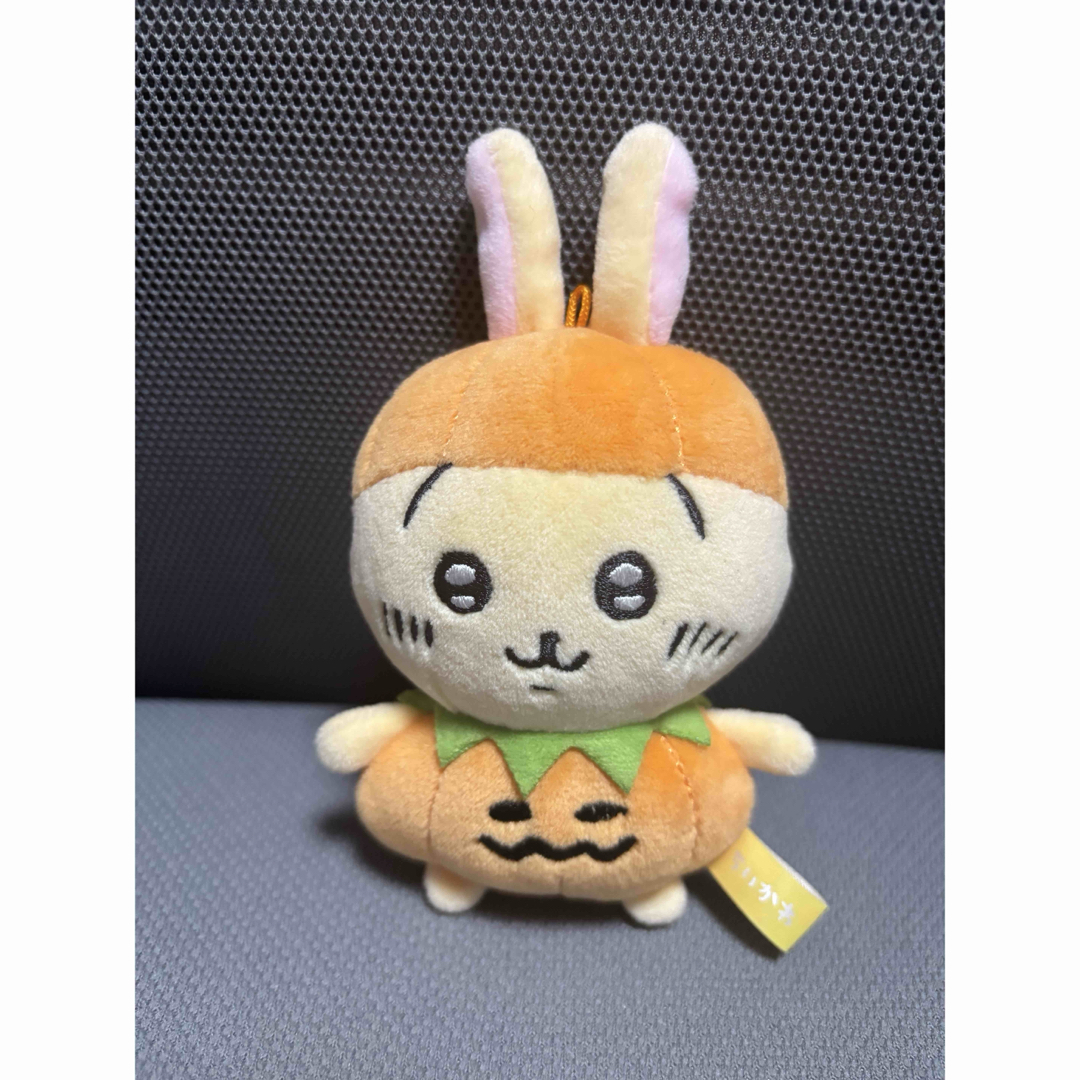 うさぎ かぼちゃ ハロウィン ちいかわ 仮装…ってこと!?なぷち うさぎ かぼちゃ ハロウィン ちいかわ 仮装…ってこと!?なぷち