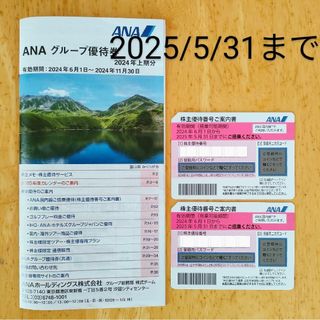 エーエヌエー(ゼンニッポンクウユ)(ANA(全日本空輸))のANA 全日空 株主優待券 割引券 2枚(航空券)