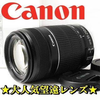 キヤノン(Canon)の★ド迫力超望遠★手振れ補正★Canon EF-S 55-250mm IS II★(レンズ(ズーム))