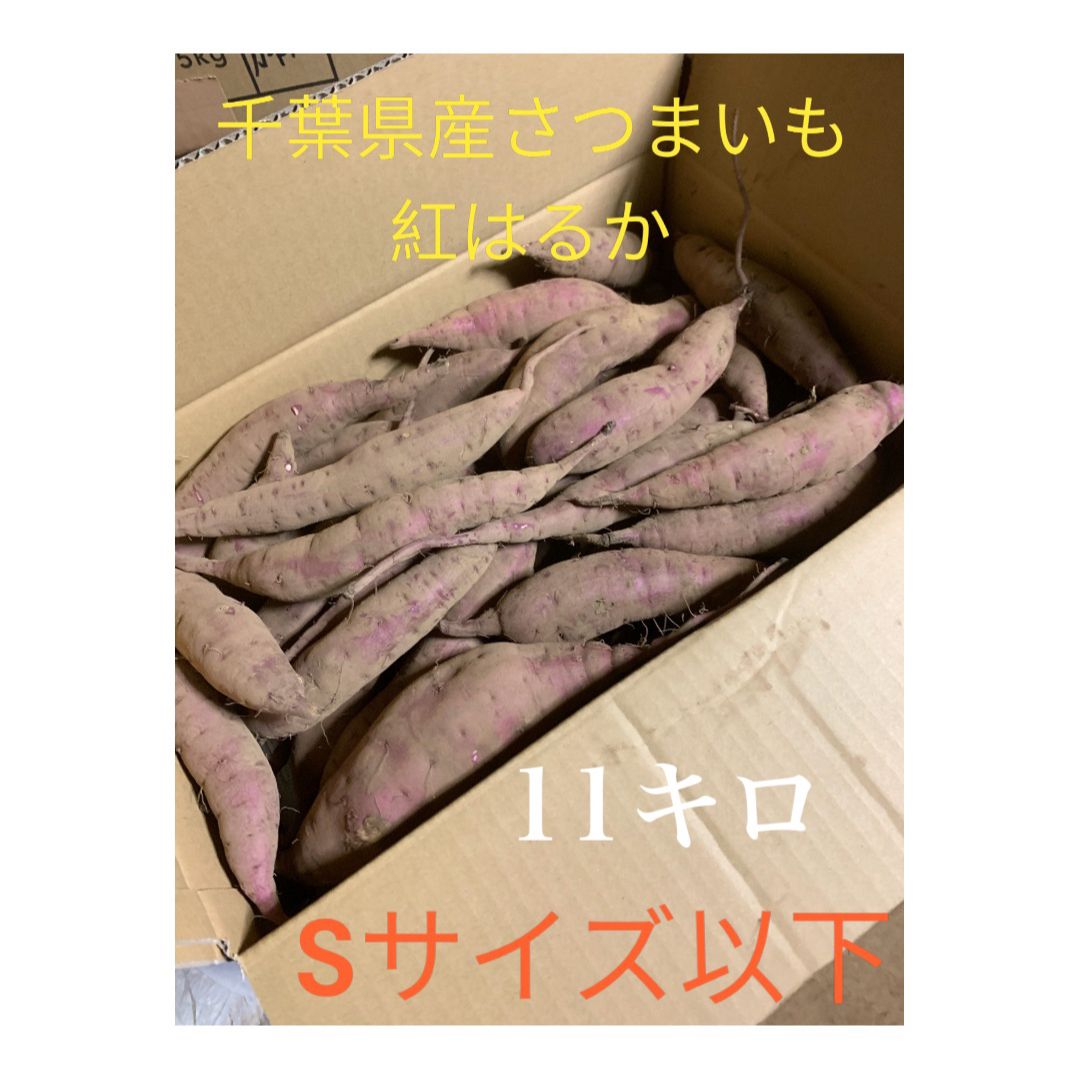 千葉県産さつまいも　紅はるか11キロ Sサイズ以下　訳あり品20 | フリマアプリ ラクマ