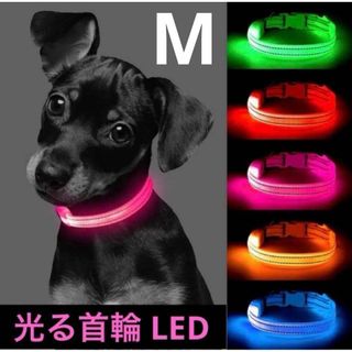 光る首輪 LED USB充電式 散歩 セーフティライト 夜間散歩 犬 Mオレンジ(犬)