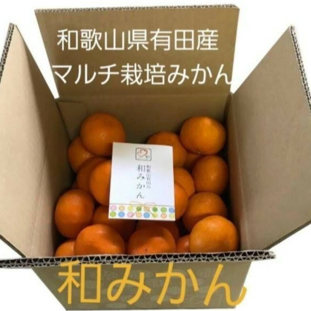和歌山県有田産 マルチ栽培薄皮みかん5kg×2箱 和歌山県有田産 マルチ栽培薄皮みかん5kg×2箱