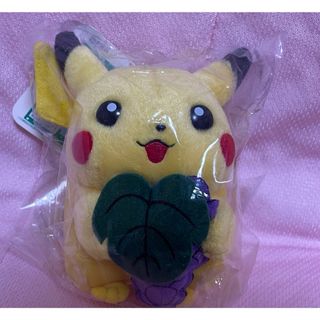 ポケモン(ぬいぐるみ)のフリマアイテム一覧 ポケモン(ぬいぐるみ)のフリマアイテム一覧