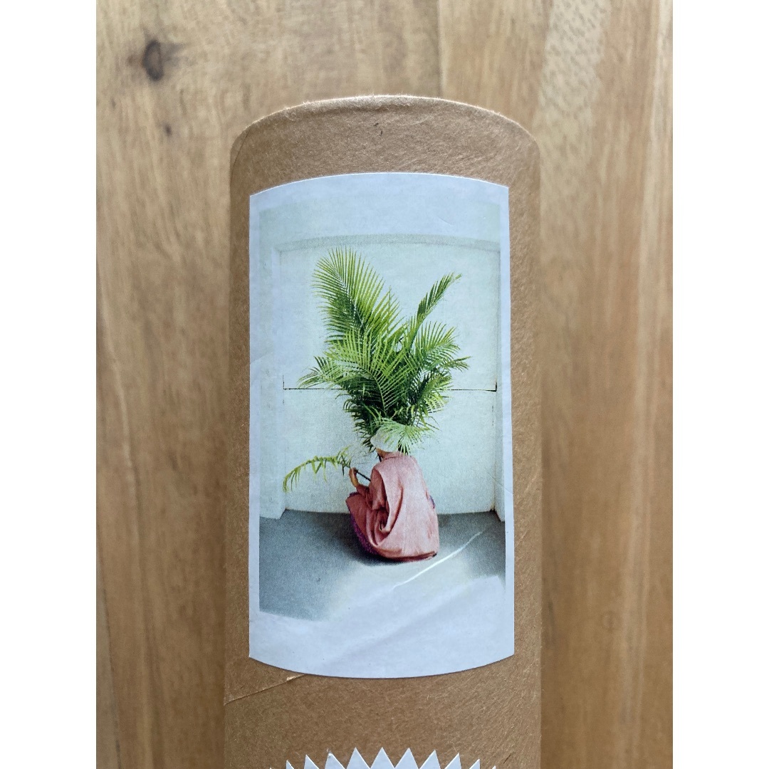 Ron Herman - CLÉMENT PASCAL アート作品 植物