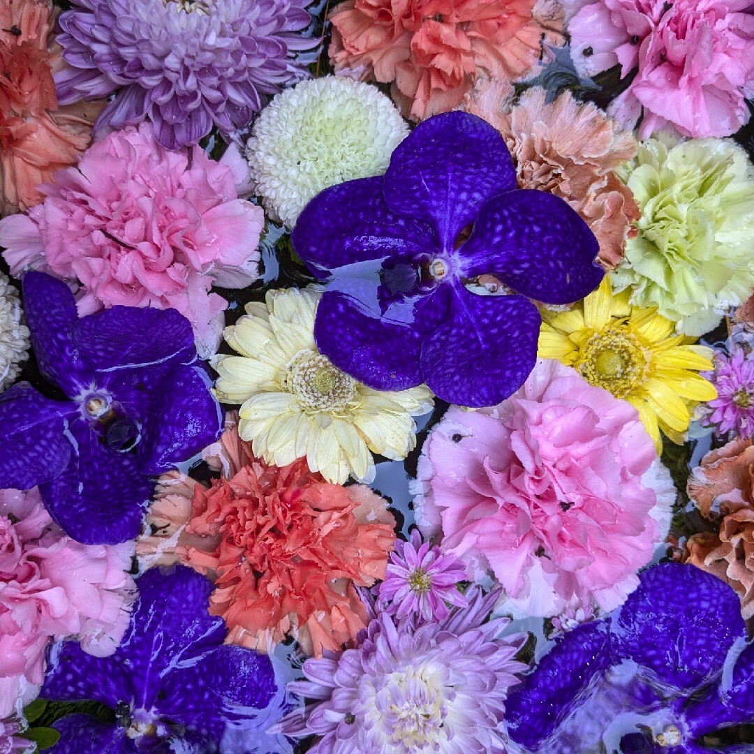 【ピロコ】　刺繍デザイン　イエローゴールド御朱印帳です