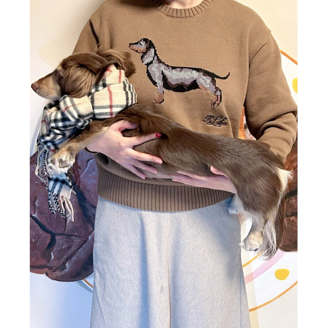 POLO RALPH LAUREN - ❤️即発PoloRalphLaren24秋冬新作犬柄 POLO RALPH LAUREN - ❤️即発PoloRalphLaren24秋冬新作犬柄
