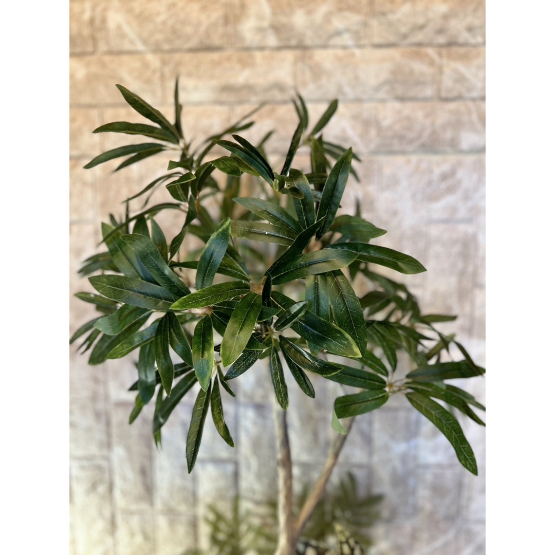 光触媒 人工観葉植物 ウォールグリーン フェイクグリーン 胡蝶蘭 光触媒 人工観葉植物 ウォールグリーン フェイクグリーン 胡蝶蘭