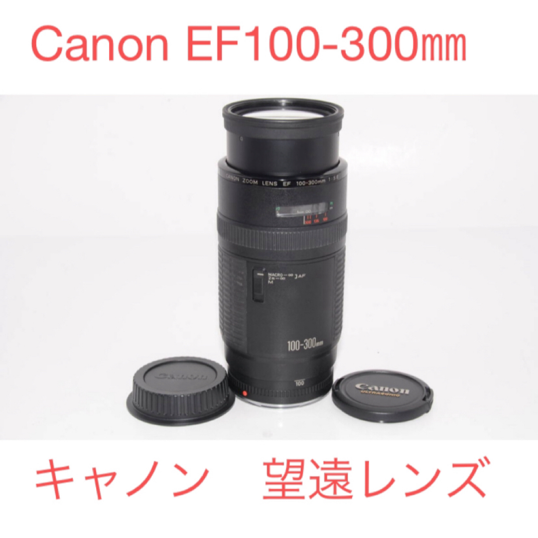 Canon MR-14EX マクロリングライト リングフラッシュ ストロボ/照明 Canon MR-14EX マクロリングライト リングフラッシュ ストロボ/照明
