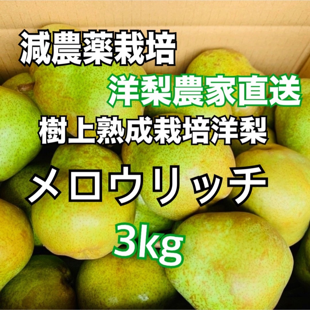 減農薬栽培★農家直送★洋梨 メロウリッチ 3キロ 食品/飲料/酒の食品(フルーツ)の商品写真