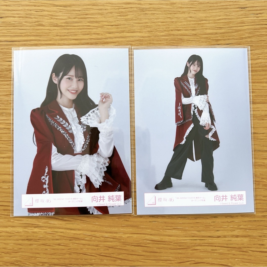 正規品販売！ 生写真セットの通販 向井純葉 櫻坂46 - 櫻坂46 by shop mk's アイドル
