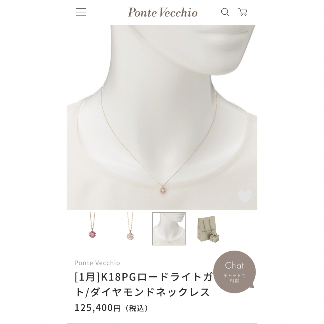 Ponte Vecchio - Ponte Vecchio 1月誕生石　リバーシブルネックレス