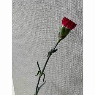 FENDI(iPhoneケース)のフリマアイテム一覧 FENDI(iPhoneケース)のフリマアイテム一覧