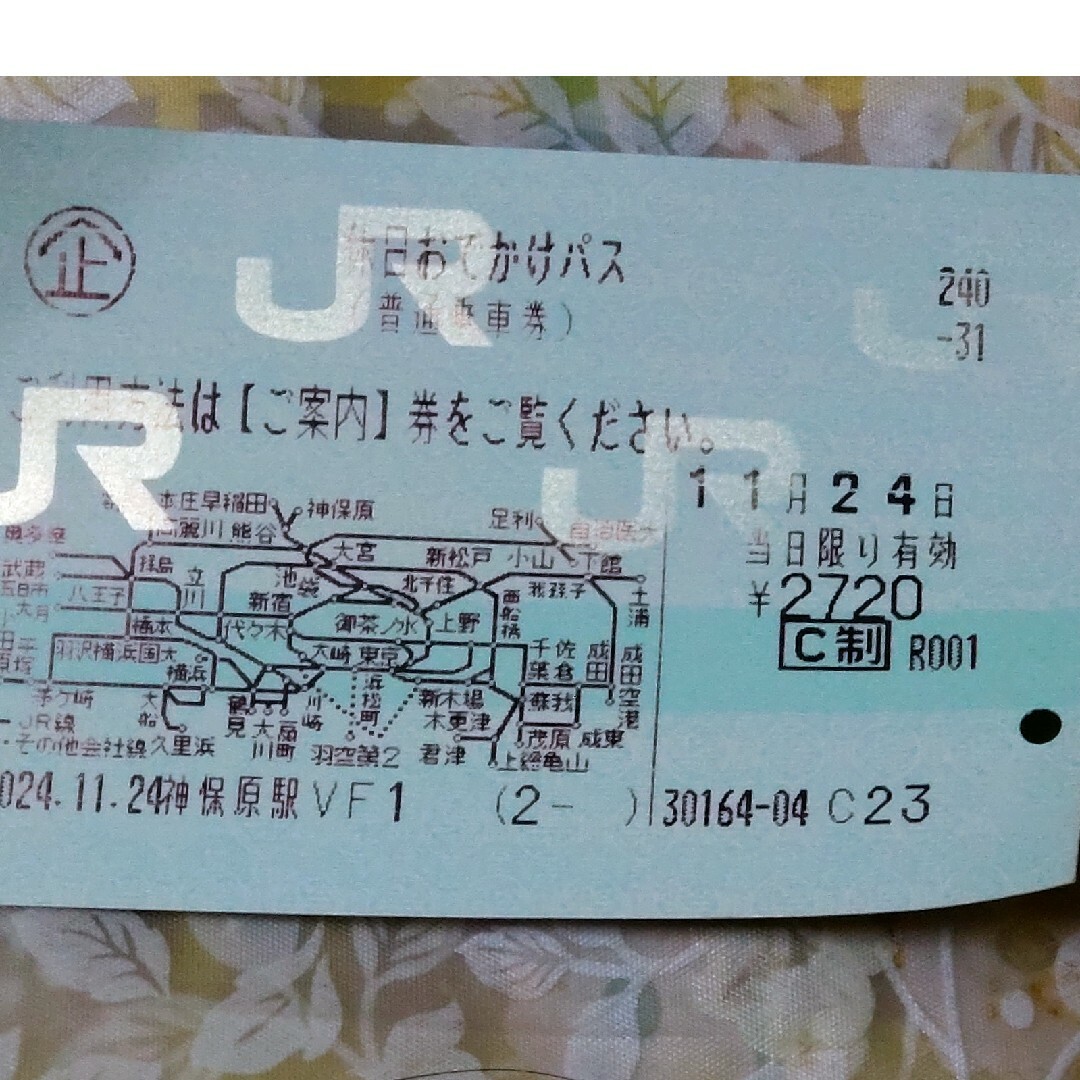 JR(ジェイアール)の休日おでかけパス チケットの乗車券/交通券(鉄道乗車券)の商品写真