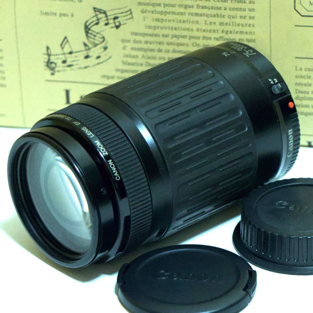 ☆大迫力300mm超望遠レンズ☆キャノン EF 75-300mm☆ ☆大迫力300mm超望遠レンズ☆キャノン EF 75-300mm☆