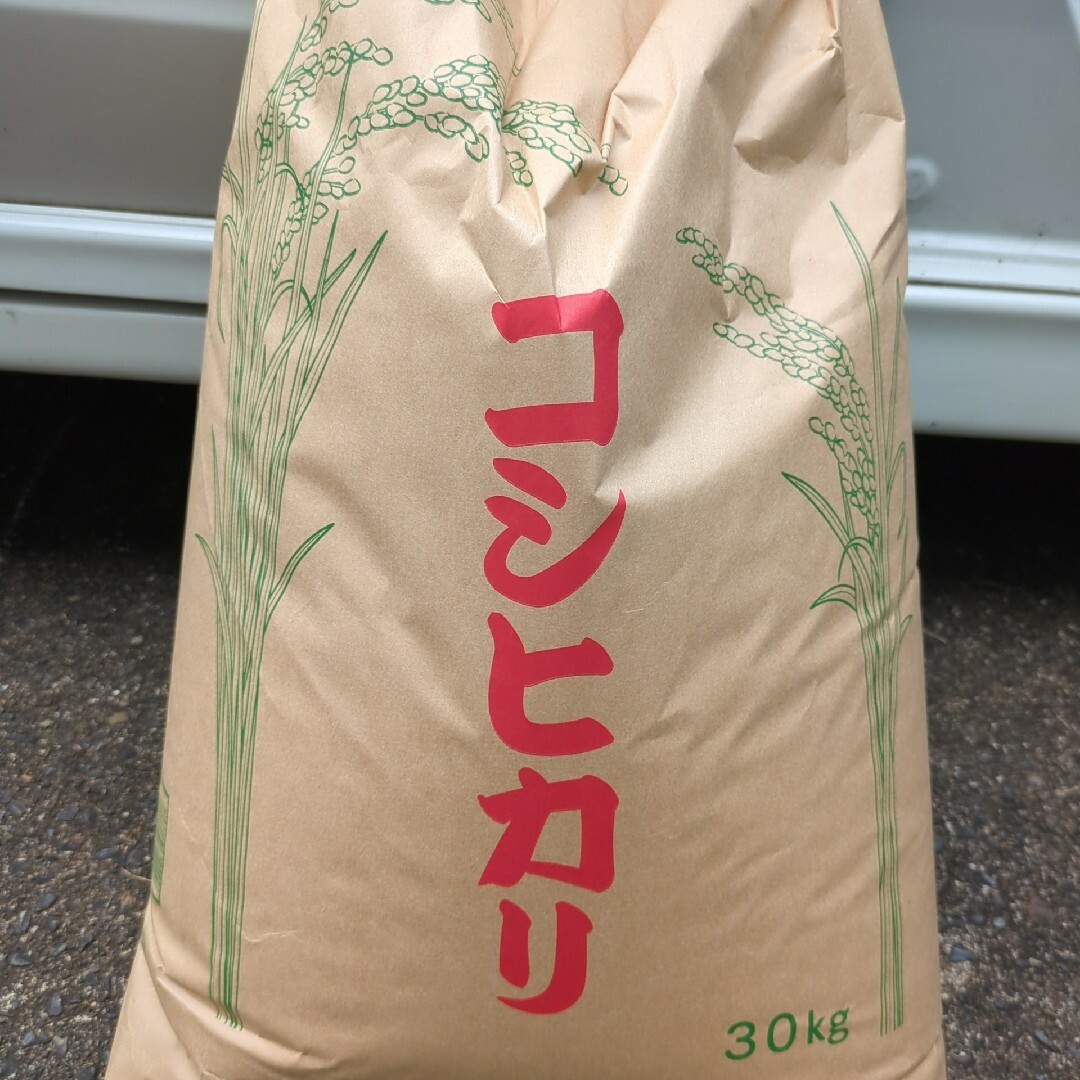 モスカートペタロ 750ml 15本セット モスカートペタロ 750ml 15本セット