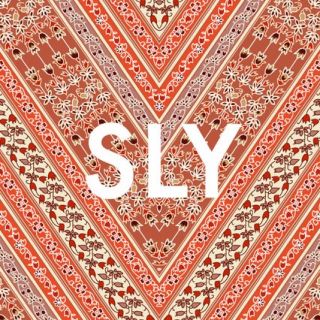 スライ(SLY)のるり様専用(その他)