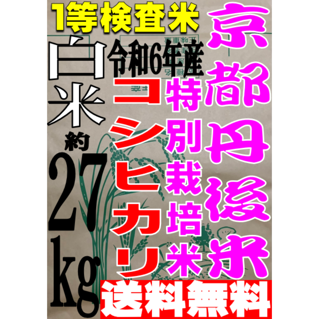 送料無料 一等検査 白米 新米 令和6年産 京都 丹後 コシヒカリ 約27kg