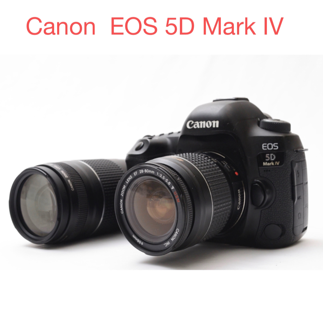フルサイズ/Canon EOS 5D MarkIV標準&望遠ダブルレンズセット フルサイズ/Canon EOS 5D MarkIV標準&望遠ダブルレンズセット