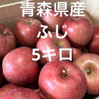 青森県産　サンふじ　5キロ　りんご　家庭用　訳あり　美味しい(フルーツ)