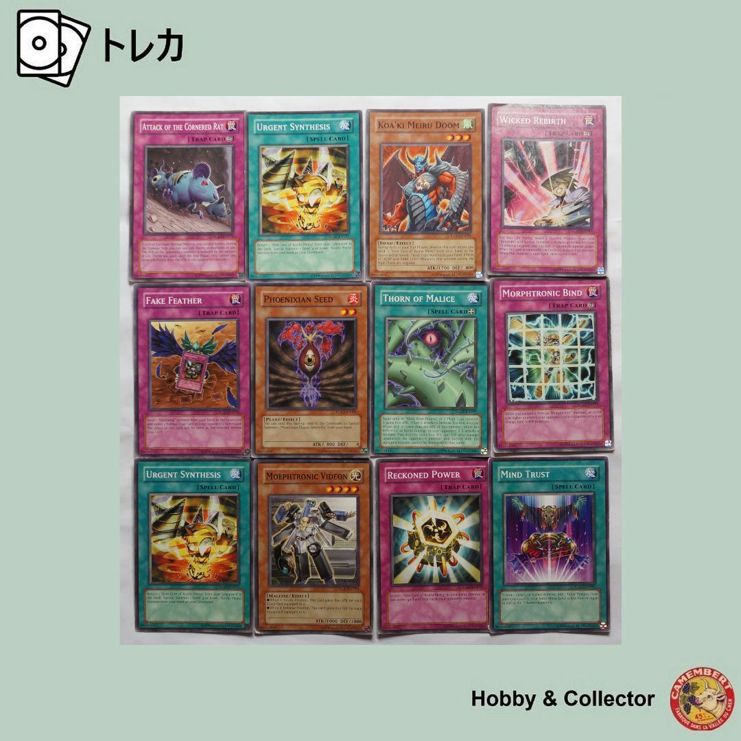 遊戯王 英語版セット(遊戯王 英語版 LCYW 封印されし 遊戯王 英語版セット(遊戯王 英語版 LCYW 封印されし