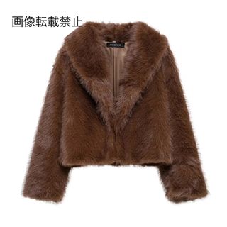 ☕️11月新作🌇16002◆brown ブラウン ファーコート(毛皮/ファーコート)