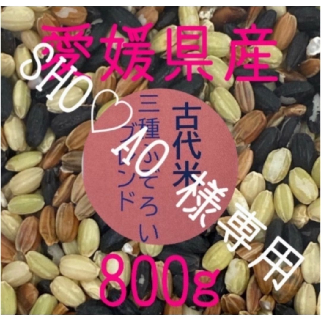 SHO♡AO様専用 古代米3種ふぞろいブレンド 愛媛県産 800ｇ