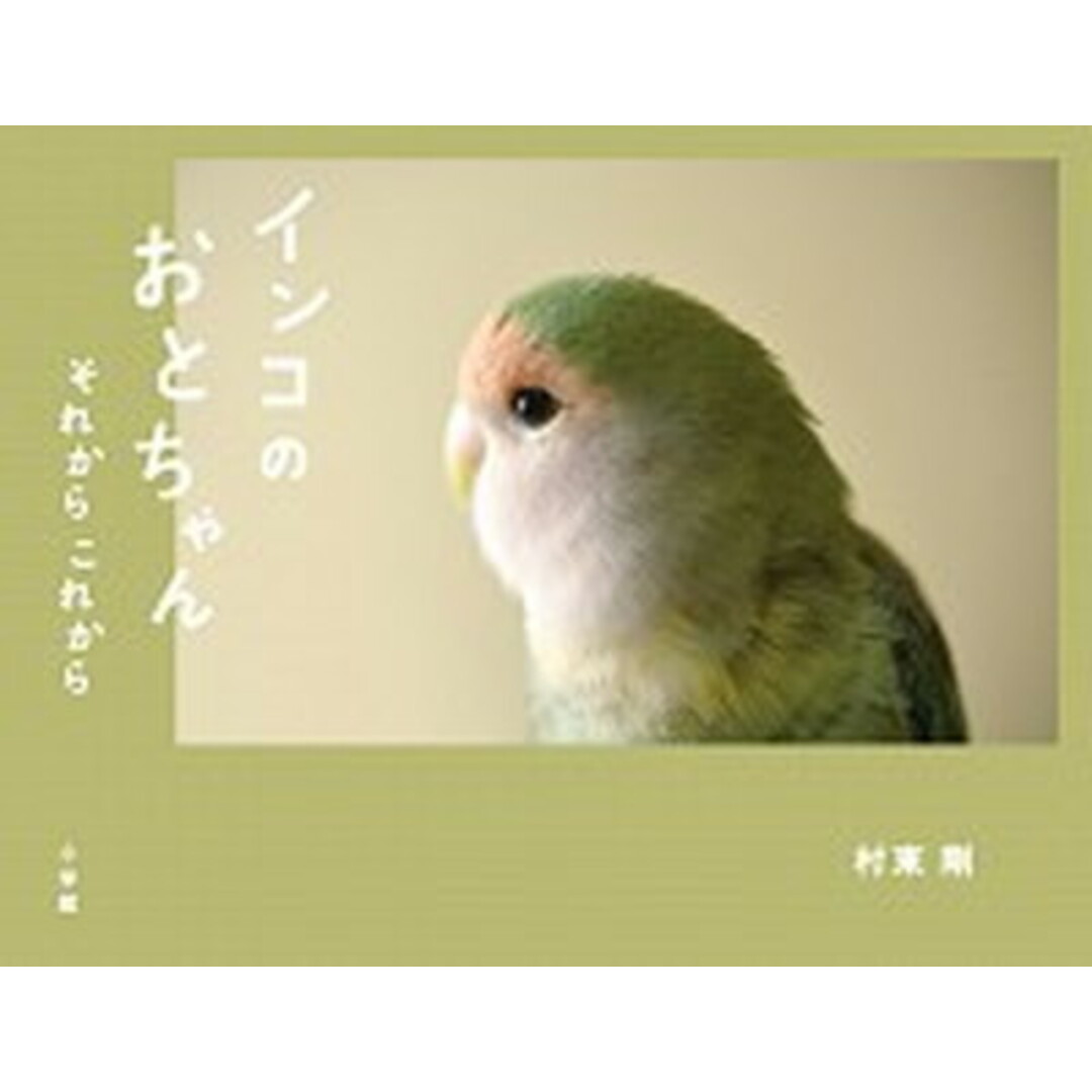 インコのおとちゃんそれからこれから /小学館/村東剛(単行本) エンタメ/ホビーの本(趣味/スポーツ/実用)の商品写真