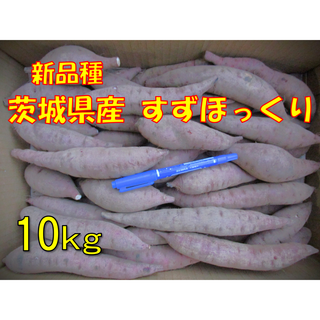 農家直送 茨城県産さつまいも【すずほっくり】10キロ 箱込み サツマイモ(野菜)