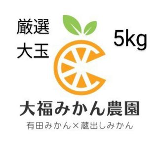 シモツミカン(下津みかん)の【大人気】厳選大玉(有田みかん・蔵出しみかん)5kg　大福みかん農園(フルーツ)