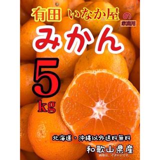 アリダミカン(有田みかん)の5キロ　和歌山県　有田　みかん　家庭用　数量限定　早い者勝ち　セール(フルーツ)