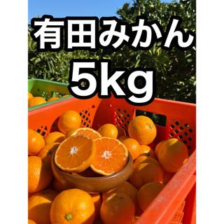 [大特価]有田みかん5kg!!訳あり品.農家直送(フルーツ)
