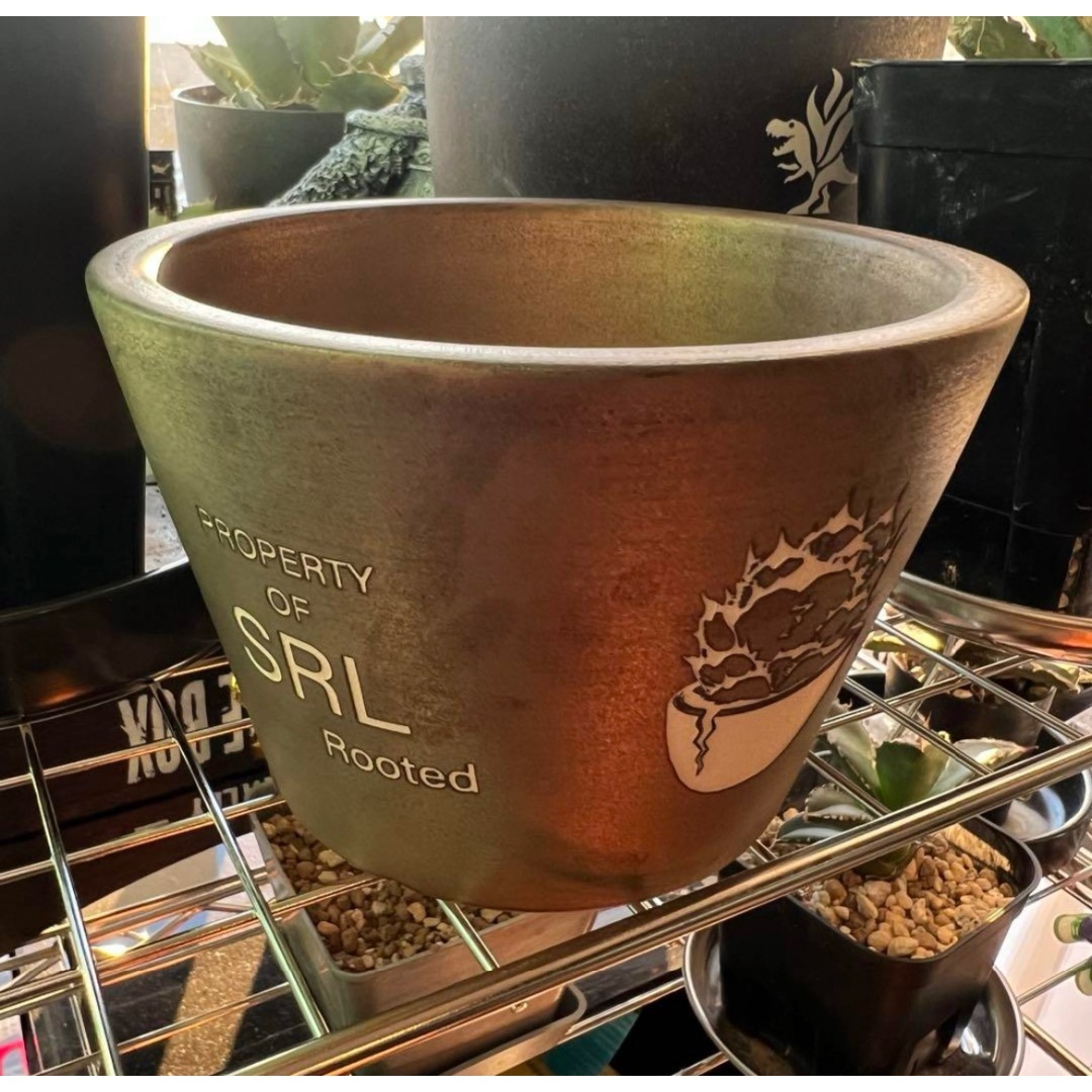 SRL 植木鉢 プランター 陶器 ハチ エスアールエル アガベ チタノタ