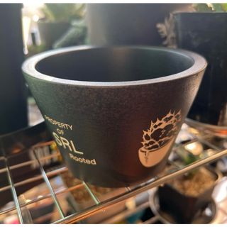 @ SRL エスアールエル 鉢植え プランター チタノタ アガベ 多肉 黒鯨(その他)