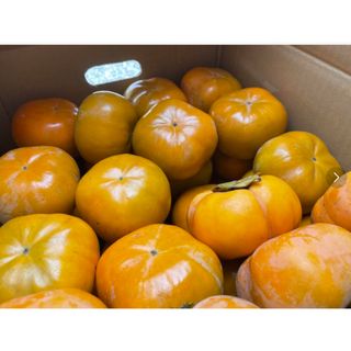 三重県産　かた〜い柿　次郎柿　約5kg入(フルーツ)
