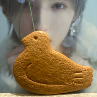 トヨシマヤ(豊島屋)の鳩サブレ　手持ち鏡(ミラー)